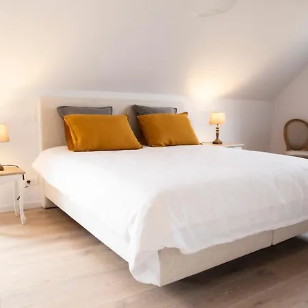 A Coque'line 住宿加早餐酒店 Frasnes-lez-Anvaing