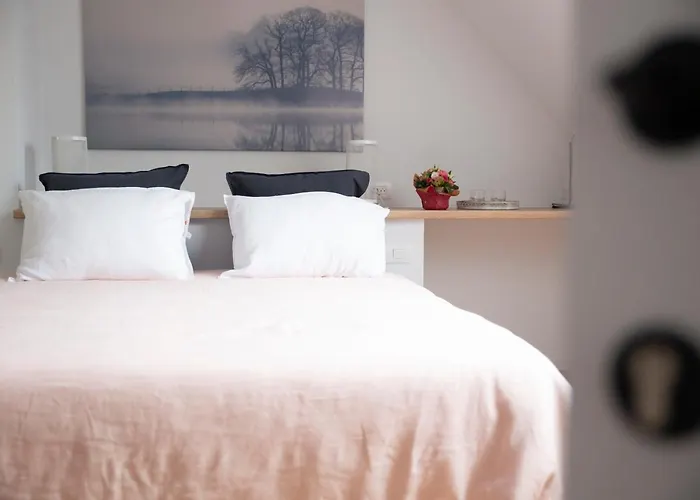 Bed & Breakfast A Coque'line Frasnes-lez-Anvaing